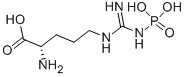 N5-[imino(phosphonoamino)methyl]L-ornithine
