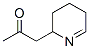 2-Propanone, 1-(2,3,4,5-tetrahydro-2-pyridinyl)- (9CI)