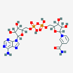 dihydronicotinamide formycin dinucleotide
