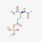 (2S)-2-acetamido-5-oxo-5-phosphonooxy-pentanoic acid
