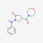 4-(morpholin-4-ylcarbonyl)-1-(phenylamino)pyrrolidin-2-one